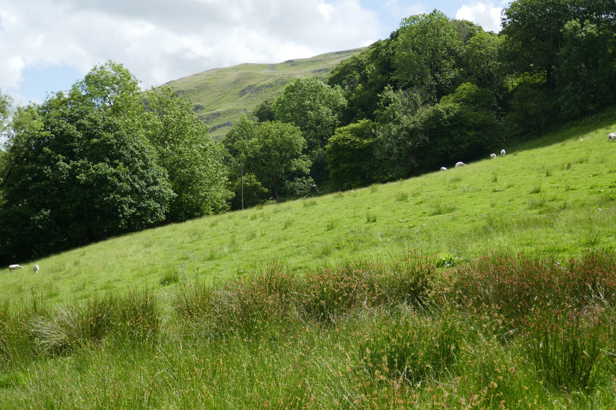 RachelSeabrook.net | Wild Walking | Cwmystwyth | pic07